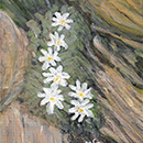 Pe-creste-acril-pe-panza-35x25-cm