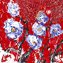 Anemone-acril-pe-carton-15x20-cm